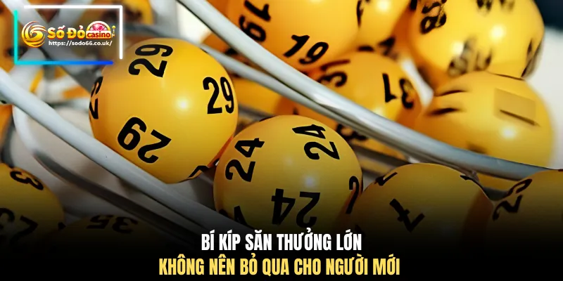 Bí kíp săn thưởng lớn không nên bỏ qua cho người mới